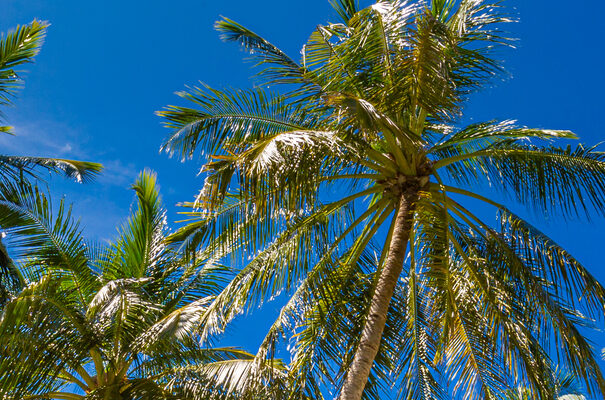 Jupiter Island