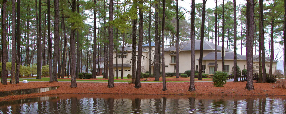 Common Causes of Roofing Damage to Florida Homes in the Fall