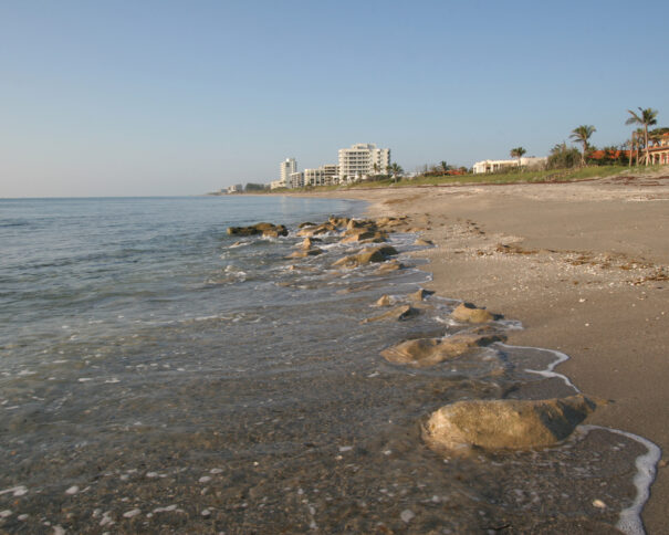 Tequesta