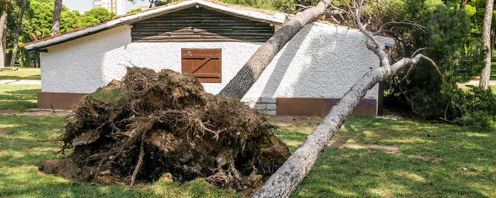 How to File a Roof Insurance Claim: A Step-by-Step Guide