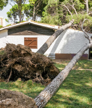 How to File a Roof Insurance Claim: A Step-by-Step Guide