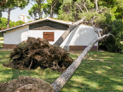 How to File a Roof Insurance Claim: A Step-by-Step Guide