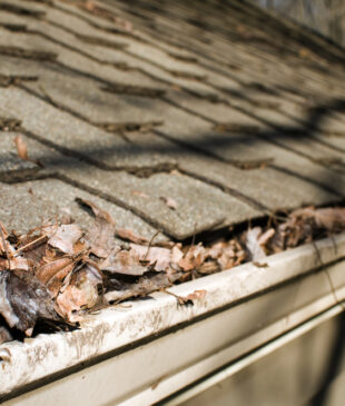 Gutter Cleaning and Roof Health: What Every Homeowner Should Know